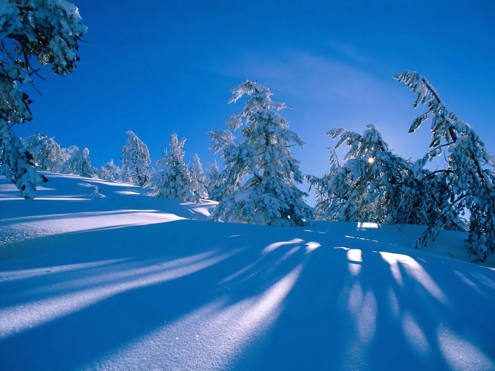 Снежная зима. Зимний пейзаж. Зимняя природа. Красивая зима.