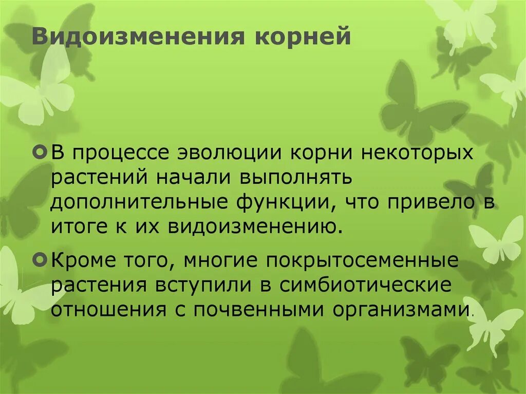 Конспект по биологии 6 класс корень. Конспект по биологии 6 класс корень