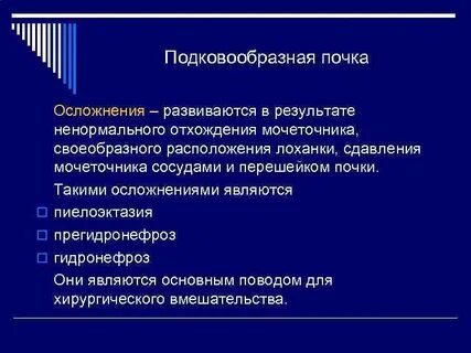 Особенность развития почки