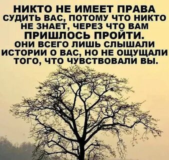 Не суди никого