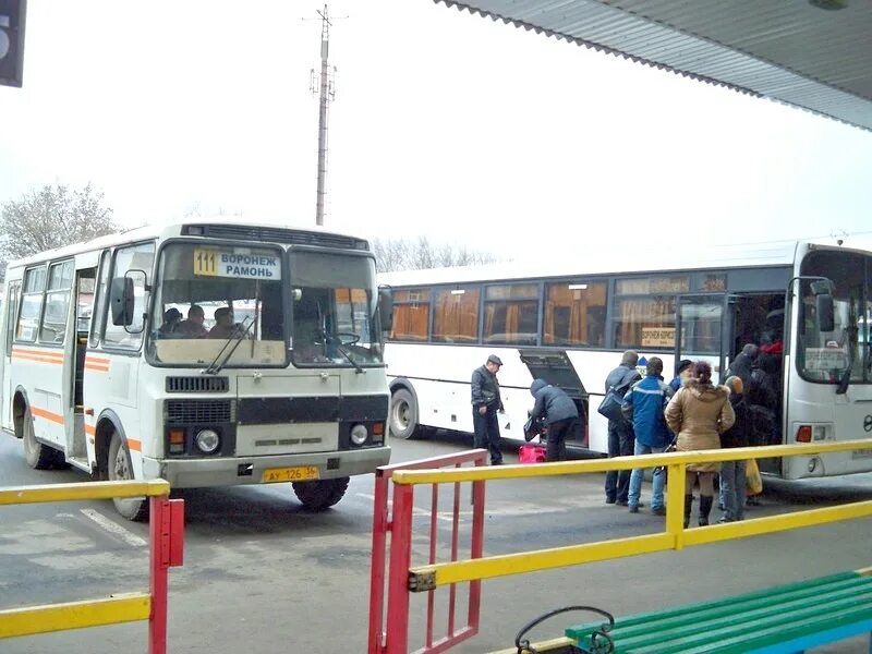 Автостанция Воронеж Центральный. Воронеж вокзал автовокзал. Автобусы автовокзал Рамонь. Центральный автовокзал Воронеж автобусы.