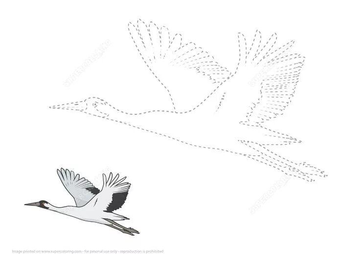 Шаблоны журавлей для вырезания из бумаги Duck Flying Away coloring page Best Draws
