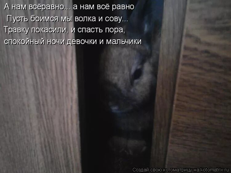 Пусть боимся мы волка и совы. Не боимся мы волка и сову. а нам всё равно а нам всё равно пусть боимся мы волка и сову. а нам всё равно не боимся мы. а нам всеравно а нам всеравно.