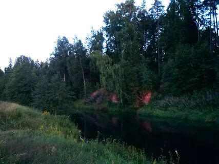 Витебский оредеж