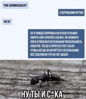 Наверно тогда