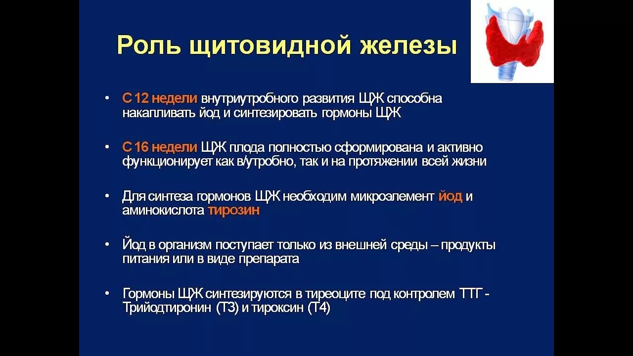 Заболевания связанные с нарушением функций щитовидной железы. Роль щитовидной железы. Профилактика щитовидной железы. Щитовидная железа важность. Нарушение функции щитовидной железы.