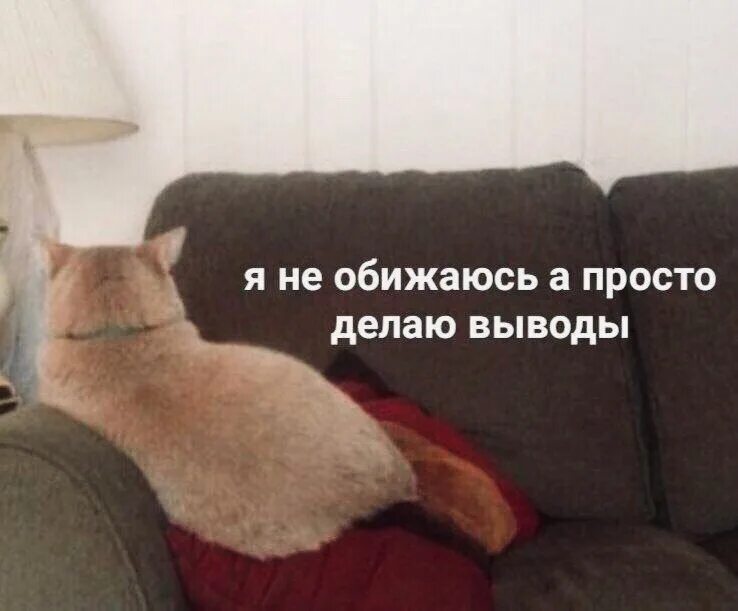 Что ответить на делай выводы. Не обиделась а сделала выводы. я не обижаюсь я просто делаю выводы. я не обиделась я сделала выводы. я не обиделась просто сделала выводы.