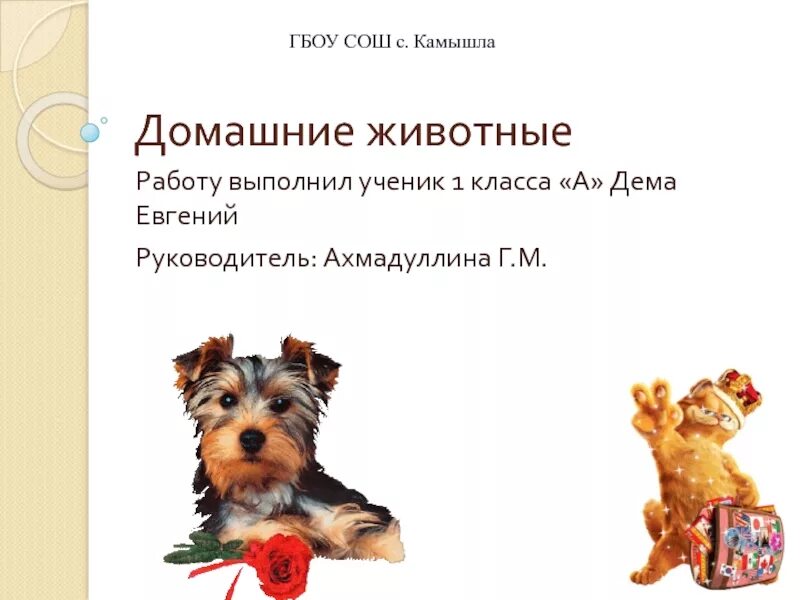 Проект про питомец. Домашний питомец собака проект. презентация мой любимый питомец. презентация на тему любимое домашнее животное. презентация на тему мой домашний питомец.