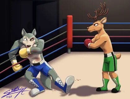 Furry boxing