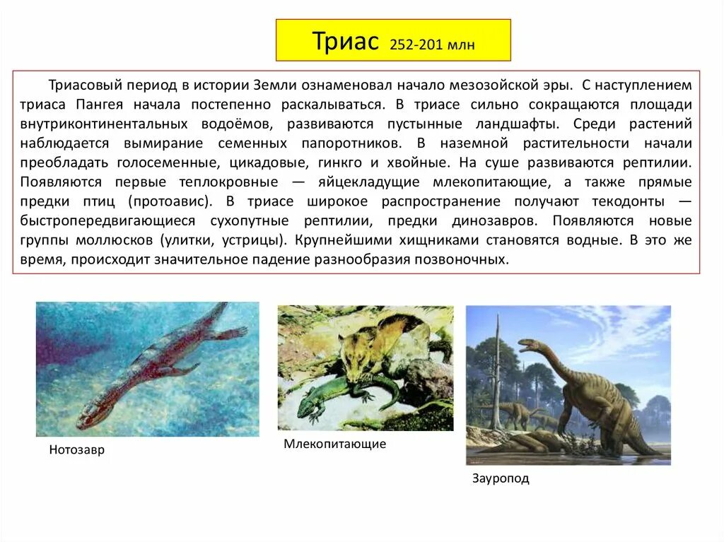 Ароморфозы мезозоя. Триасовый период мезозойской эры таблица. характеристика триасового периода мезозойской эры. ароморфозы триасового периода. триас растения и животные.