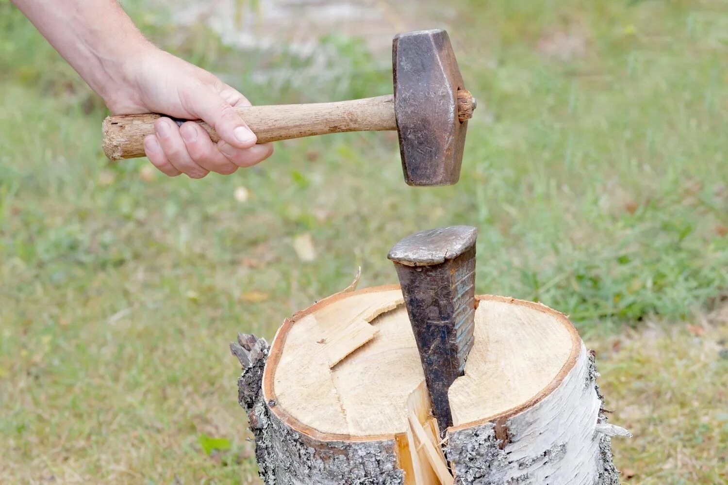 Splitting. Wood splitting sword.