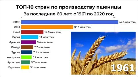 Сколько занимают зерновые культуры