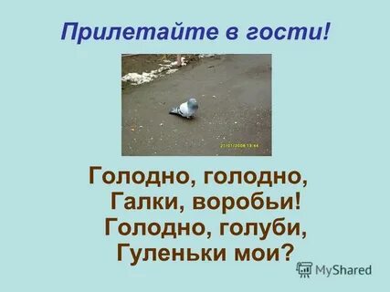 Холодно голодно текст