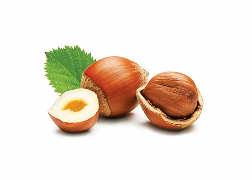 Фундук семушка сушеный, 1 кг. Орех фундук один. Орехи без фона. Фундук 1 шт. Орех фундук на белом фоне.