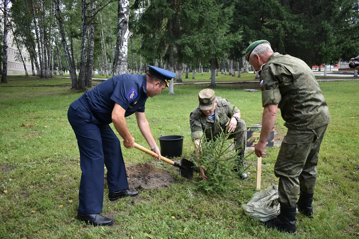 Ну посадите. Военнослужащие сажают деревья. Солдат сажает дерево. Посадка деревьев военными. Высадка деревьев в лесу.