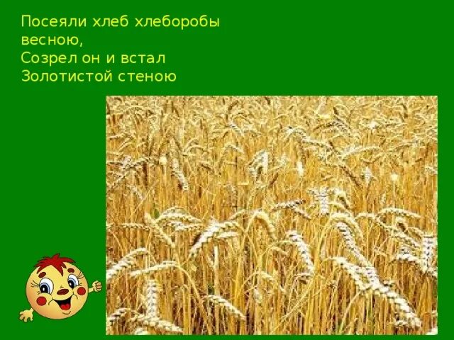 Текст на тему хлебороб 4 класс. Текст на тему хлебороб 4 класс
