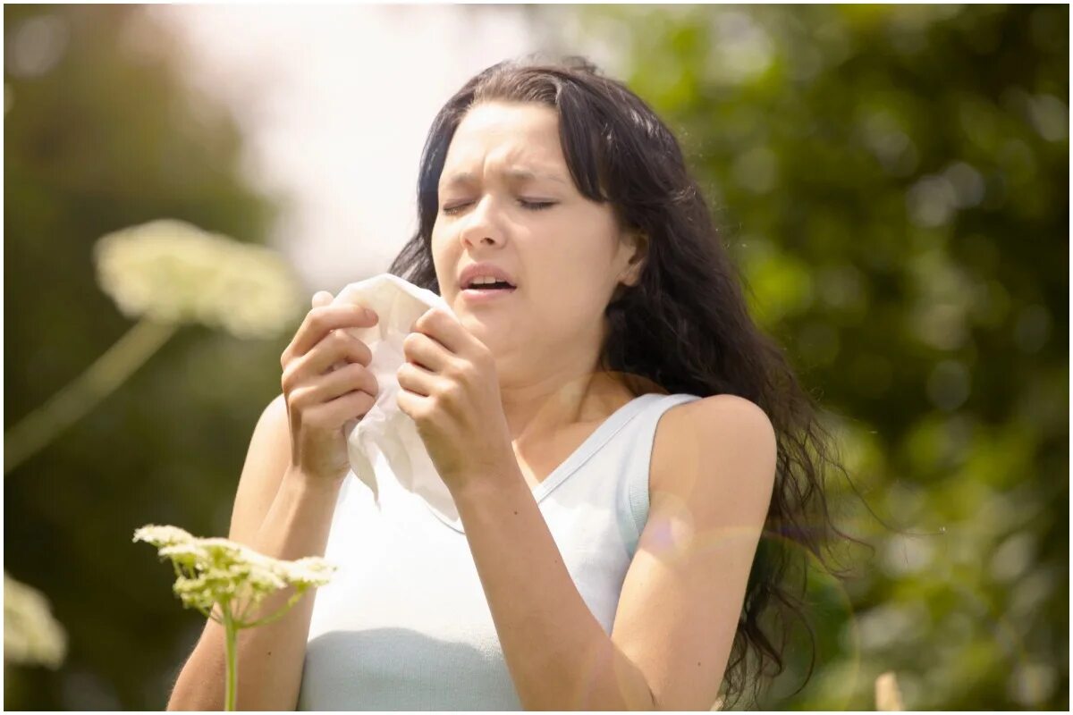 Аллергия чихаю. Девушка аллергия. Аллергия чихаю. Аллергия чихаю. Аллергия чихание.