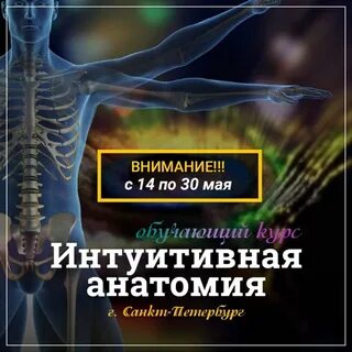 Интуитивная анатомия