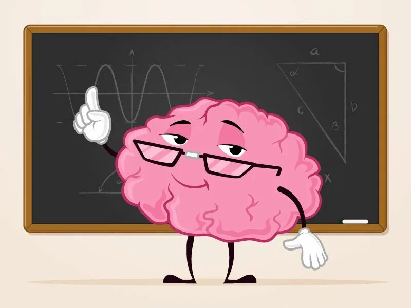 Мозги училки купить. Мозг учителя. Мозг профессор. Мозг училки. Мозг профессора и извозчика.