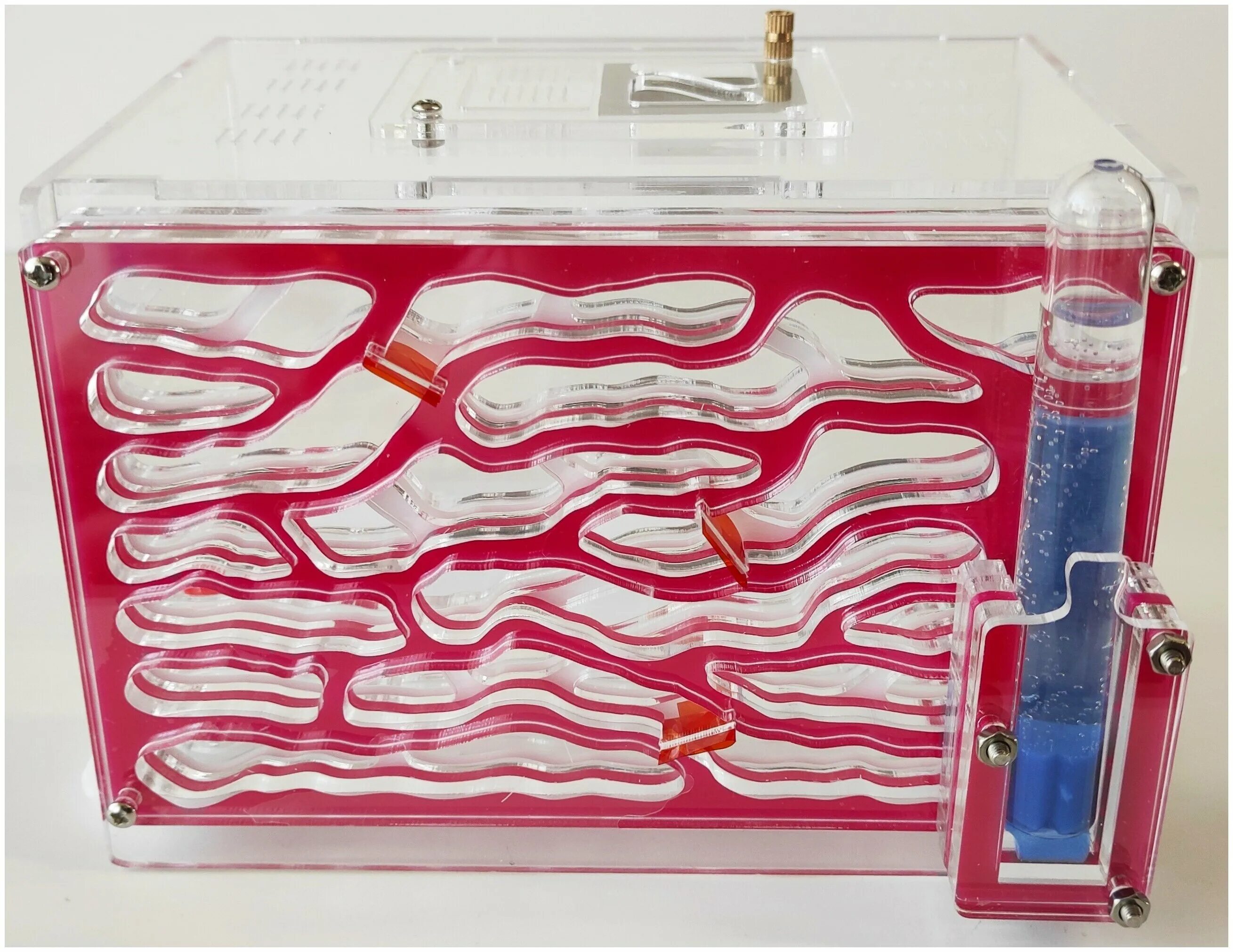 Муравьиная ферма ant tower ant nest b1 antlife. Колония муравьев в майнкрафт. Муравьиная ферма топ антс фото. Муравьиная ферма ant tower ant nest b1 antlife. Ант сити муравьиная ферма.