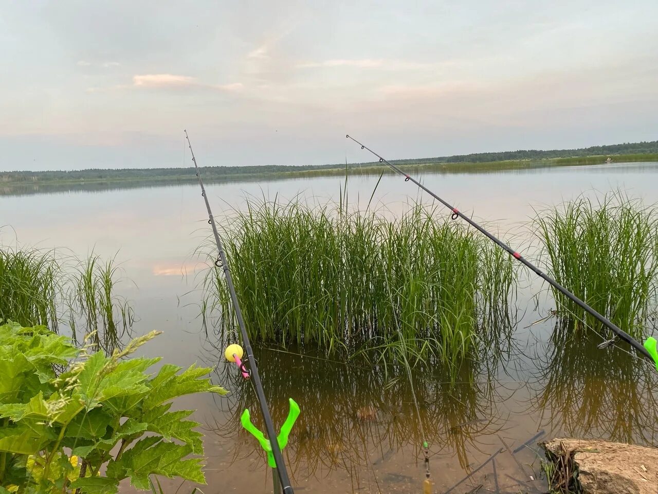 Занинское Можайский водохранилище. Занинское водохранилище рыбалка. Озернинское водохранилище. Заинское водохранилище Можайский район рыбалка.