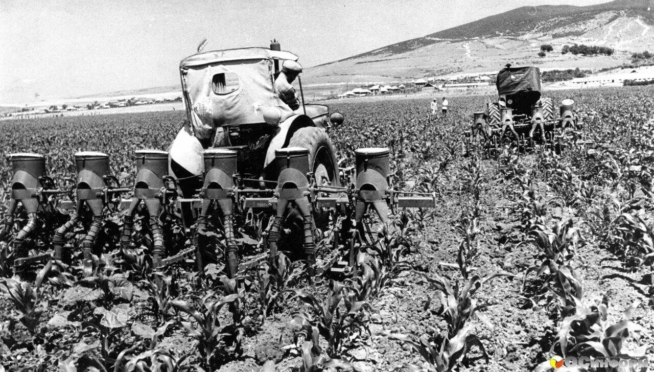 Сельское хозяйство россии. Достижения сельского хозяйства. 1970е ссср сельское хозяйство. Агропромышленный комплекс. Достижения сельского хозяйства.