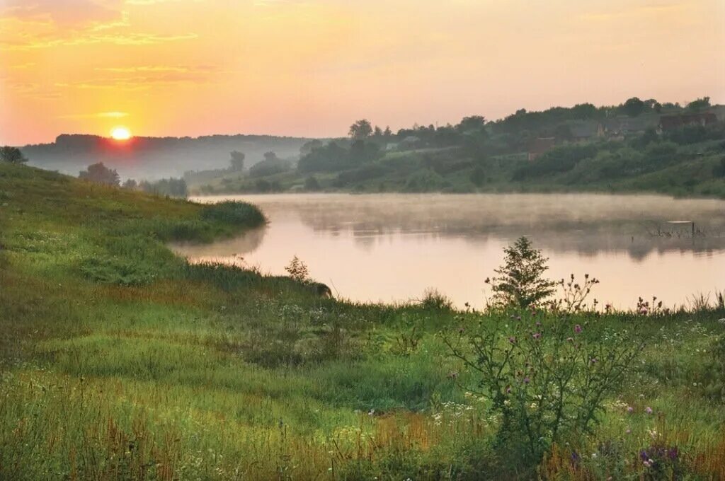 Нет в лесу того раздолья