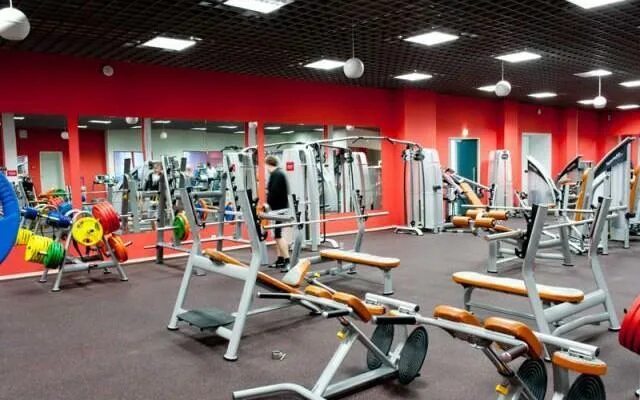Фитнес химки парк толстого. Фитнес клуб fan gym. Фитнес в химках с бассейном в парке толстого. Летиция химки тренажерный зал. Фитнес зал химки.