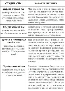 Сколько времени длятся фазы сна