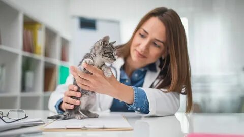Helen is a vet use