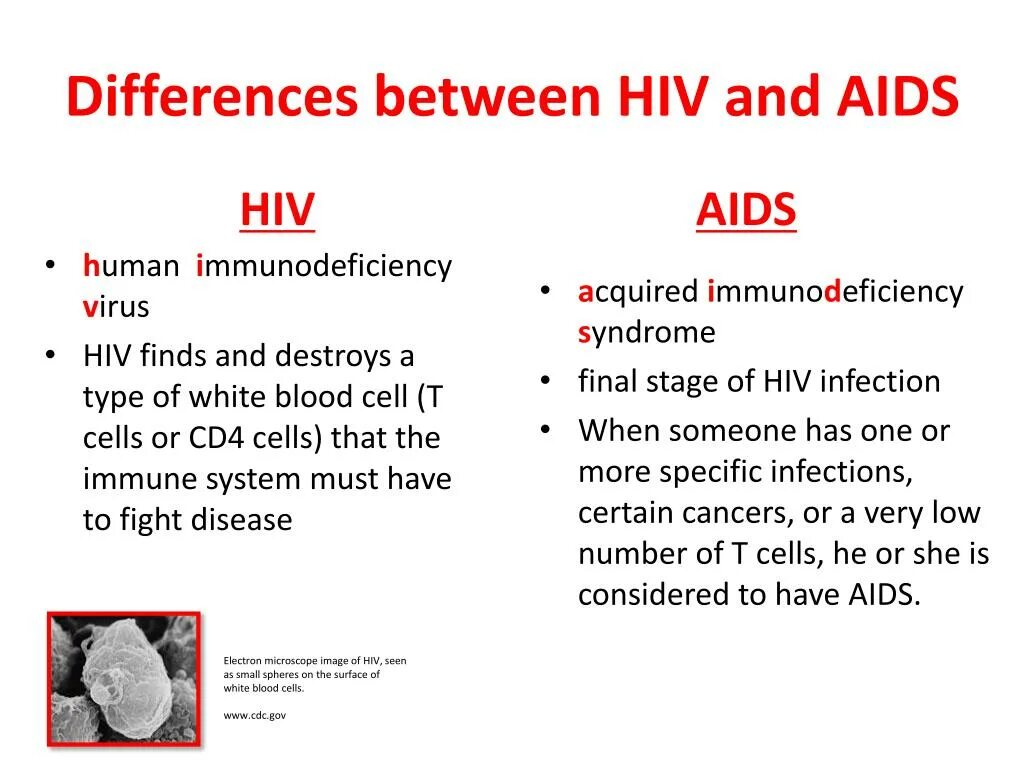 Спид ап на английском. HIV AIDS. HIV and AIDS difference. What is HIV.