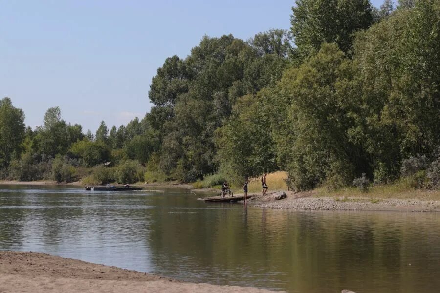 Гидрологическая обстановка. Уровень в реках алтайского края. Река в затоне барнаул. Затон барнаул речка. Гидрологические карты гидрологические карты.