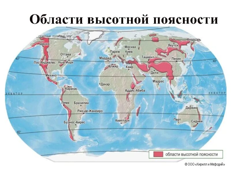 Области ВЫСОТНОЙ поясности. Животные области ВЫСОТНОЙ поясности России. Области высокой поясности России. Области ВЫСОТНОЙ поясности животные.