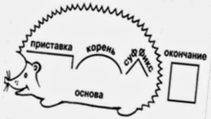 Состав слова ежика. Состав слова Ежик. Разбор по составу Ежик. Ежик разбор. Ежонок по составу.