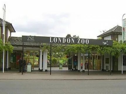 Zoological society