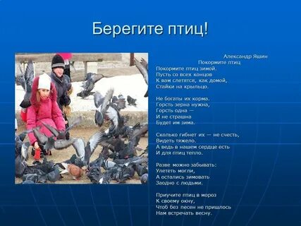 Береги свою птицу не