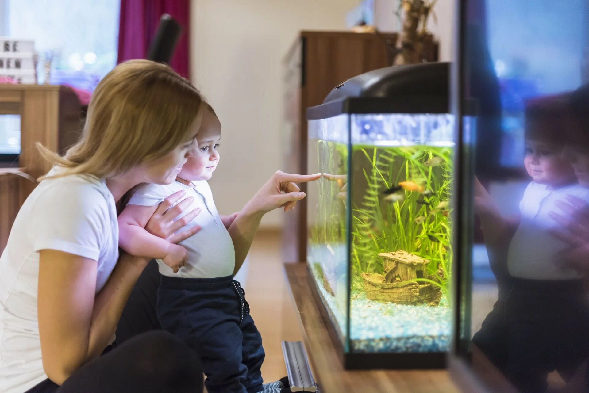 Аквариум (Fish Tank) 2009. Аквариум домашний с рыбками. Детский аквариум. Человек в аквариуме.