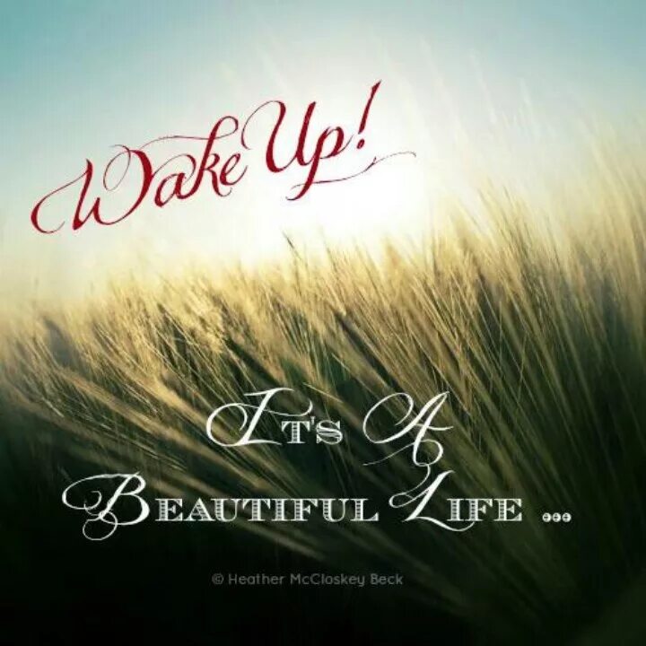 Со бьютифул лайф. Итс бьютифул лайф. картина бьютифул лайф. beautiful life картинки. life beautiful фото.