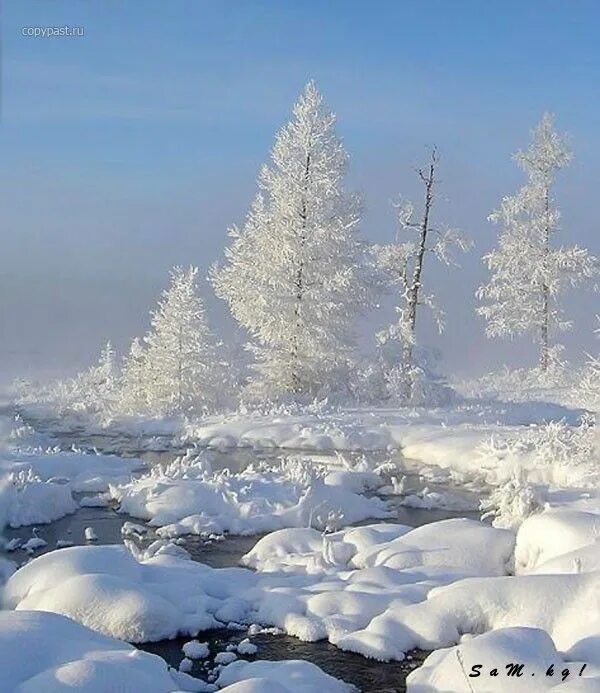 Природа Якутии зимой. Якутия природа зима. Пейзаж Якутской природы. Зимний пейзаж Якутии. Якутский снег