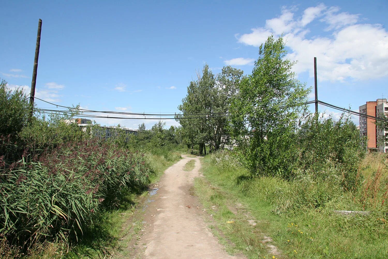 деревня купчино. деревня купчино 1943. деревня купчино. купчино спб деревня. деревня купчино старая.