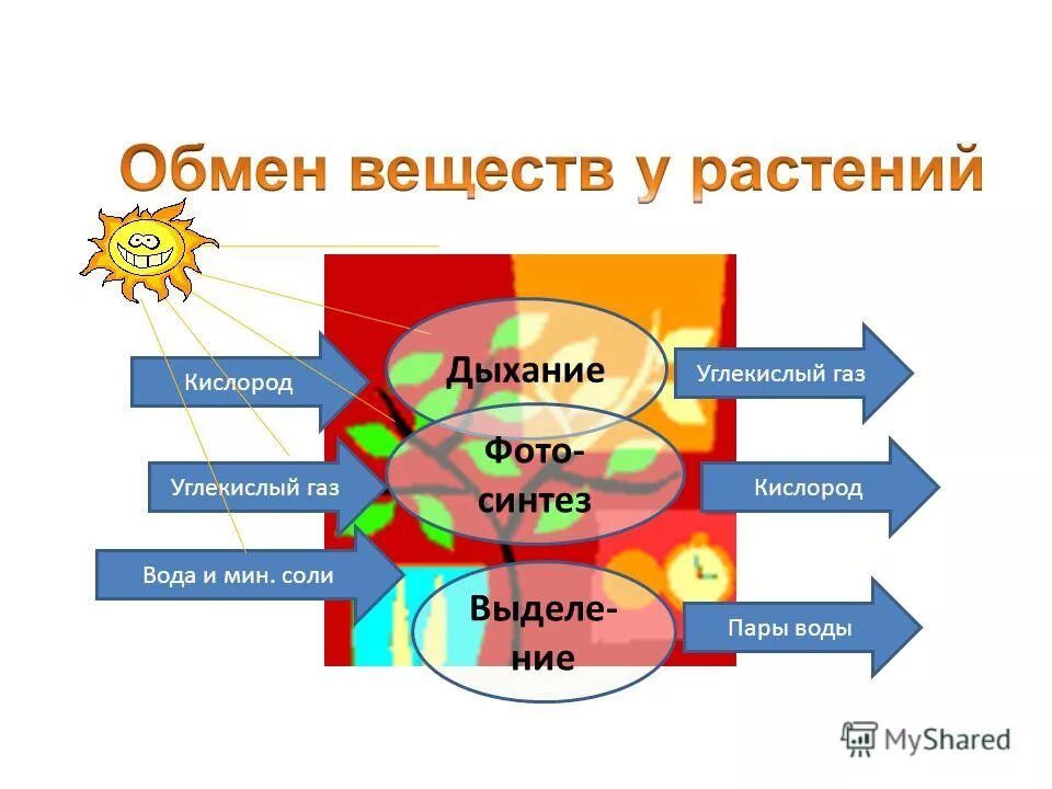 Деятельности при котором происходит обмен идеями