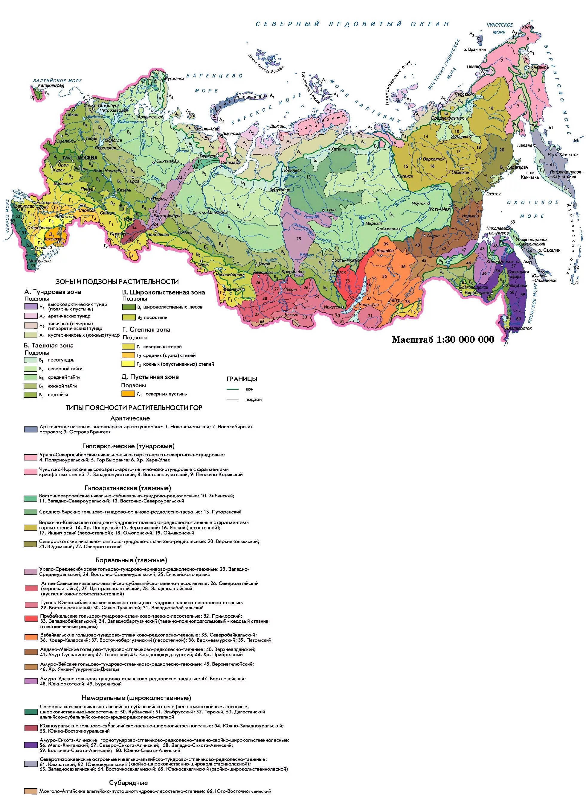 Растительная карта россии. Зональные типы растительности России на карте. Зоны и типы поясности растительности России. "Зоны и типы поясности России и сопредельных территорий". Карта природных зон России растительность.