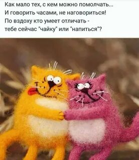 Это тебе сейчас будет