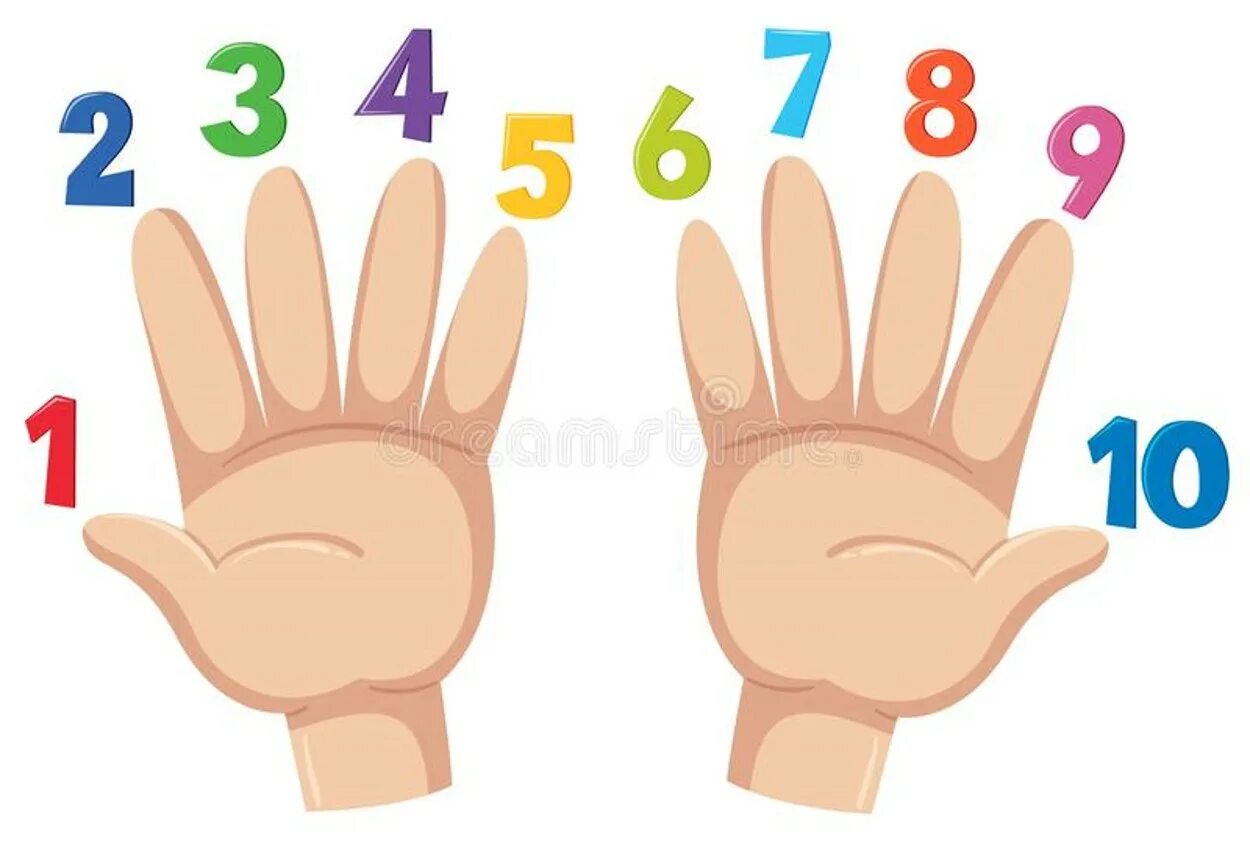 Пальцев 1 том. Ладошки с цифрами. Цифры на пальцах для детей. Пальцы рук для счета. Счет на пальцах для детей.