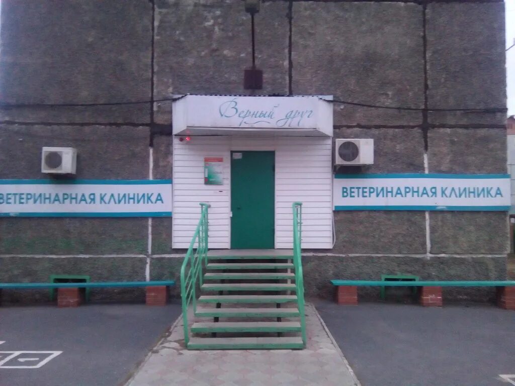 Вет клиника по торосова 8. Ветеринарка абакан. Абакан вяткина добрый доктор ветеринарная клиника. Абакан ветклиника вечный друг. Дружбы народов 43 абакан аптека.