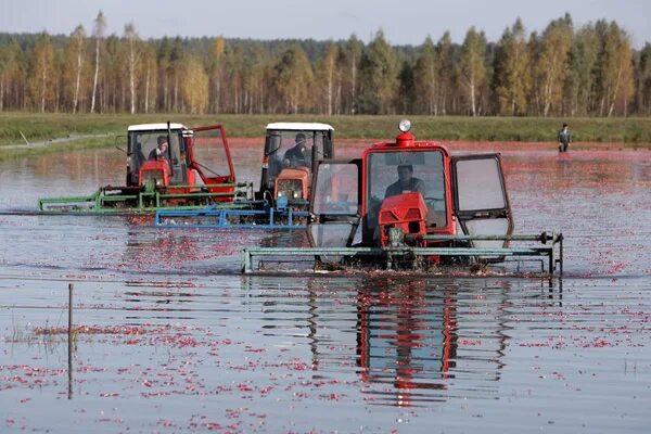 Трактор вода. Фильм трактора уходят в море. Вода в сельском хозяйстве. Трактор по воде. Трактор мтз 80 разбитый.