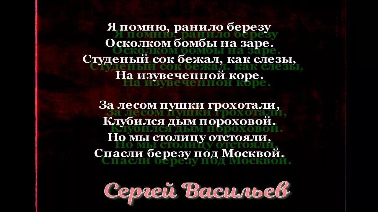 Стихотворение Васильева белая береза. Я помню ранило березу осколком бомбы на заре. Я помню ранило березу. Стихотворение белая береза я помню ранила березу