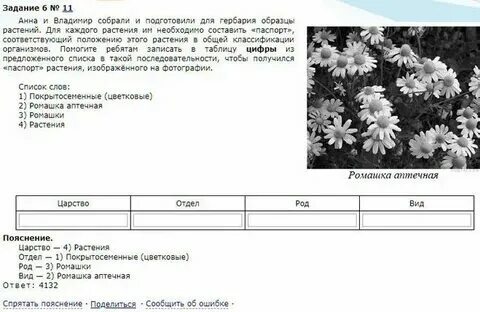 Контрольная работа 7 класс биология 2024. Контрольная работа 7 класс биология 2024