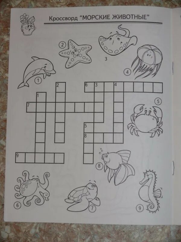 Crossword more