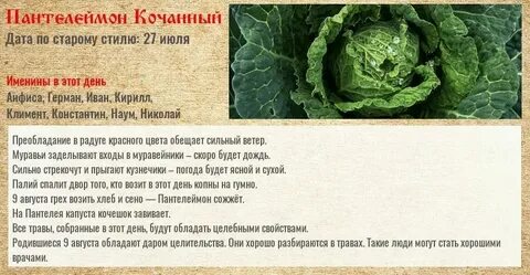 Приметы на сегодня 9 августа